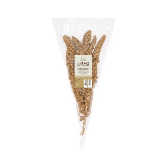 TIVO Proso senegalskie żółte kłosy - naturalne zajęcie 150g