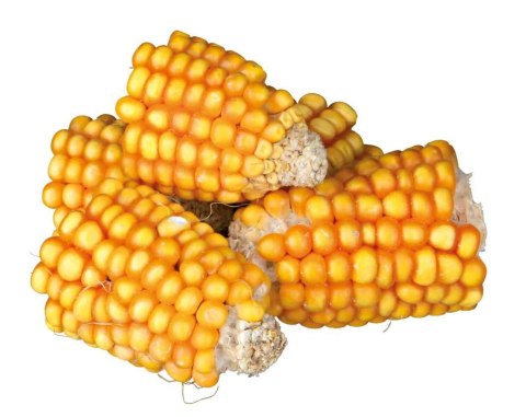 Trixie Kolby kukurydzy dla królika, 300 g