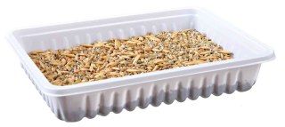 Trixie Trawa W pojemniku dla królika, 100 g
