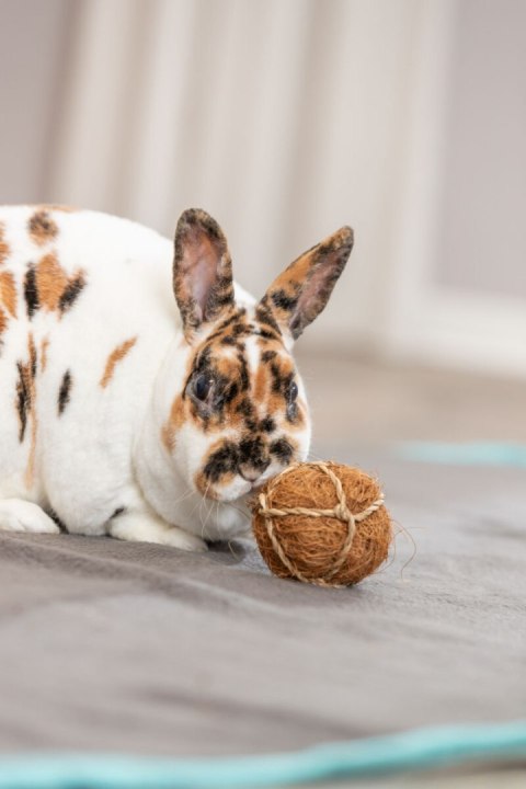 Trixie Piłka z kokosa, zabawka dla królika, 6 cm