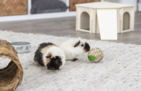 Trixie Zabawka w kształcie jabłka dla królika, 7 cm