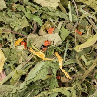 Vitapol Vita Herbal Functional Mix na sierść i skórę dla królika, 300 g
