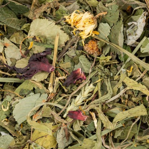 Vitapol Vita Herbal Functional Mix regulujące trawienie dla królika, 300 g