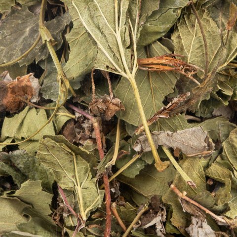 Vitapol Vita Herbal owocowe liście dla królika, 50 g